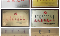 标题：以融合党建新模式 引领特检事业高质量发展——赤峰分院党群工作部
浏览次数：71
发表时间：2025-05-15