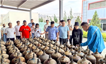 标题：特种设备安全宣传，乌海分院在行动
浏览次数：87
发表时间：2025-06-20