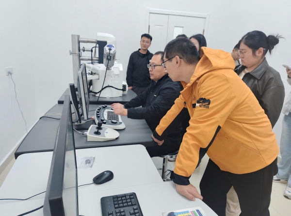 fileUpload (11)1212.jpg